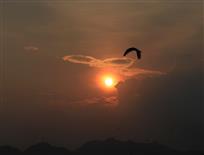 伴着夕阳归