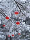 瑞雪迎春