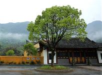 雨后古刹