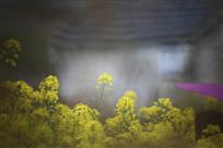 一帘春雨梦江南