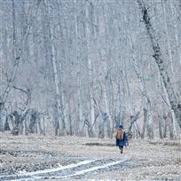 大山之子