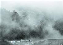 江南烟雨美如画