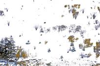 高山草甸的冬天