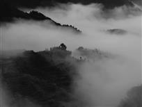 云雾茶山