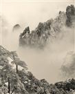 山谷飞鸟