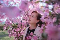 人面桃花相映红