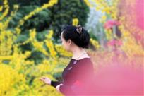春日花影