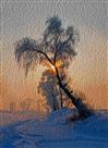 夕照雪原