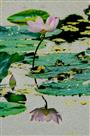 出水芙蓉