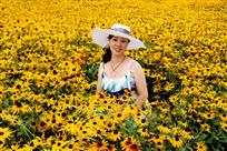 人与黄花相并妍