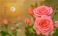 《花好月园》