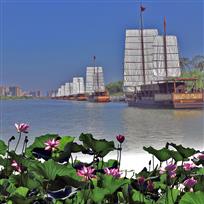 里运河白帆再现