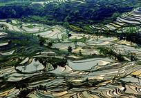 元阳印象