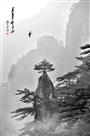 梦笔生花