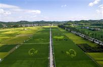 播撒在田野间的中国梦