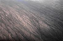 大地画展（组照8张）