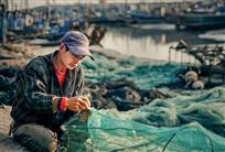 渔港（组照6张）