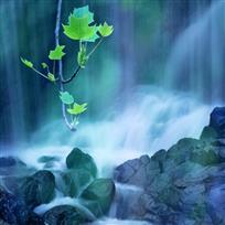 探瀑