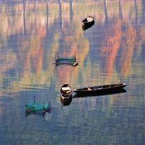 索林红树一船秋