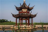 春来早