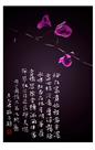 绮丽