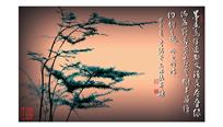 写意云松