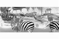 我们的家园（组照8幅）