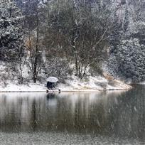 独钓一池风雪