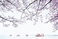 太湖帆影