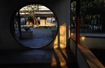 标题《古园的阳光》