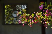 标题《花红窗影》