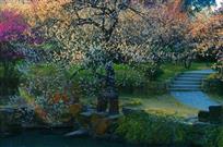 标题《梅香时节》