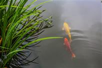 伙伴