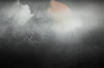 梦境