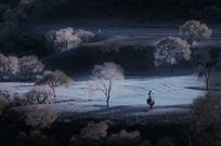 晚秋