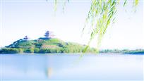 错将临泽认江南