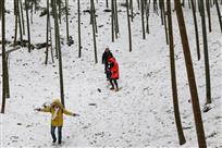 竹海踏雪