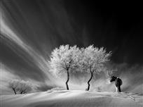 《冰天凝地绝尘埃》