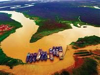 《大丰&nbsp;五彩滩涂》