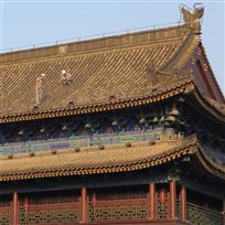 历史呵护者