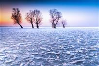 冰封柳树湾
