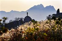 秋鸿飞不定，翘首暮云天