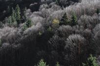 去得浮华骨尤劲