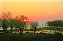 初冬情侣伴夕阳