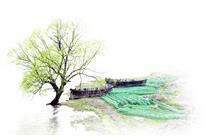 休渔晒网迎鱼汛