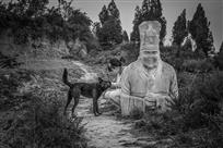 历史与未来（组照）