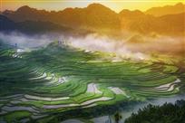 《霞光映照五彩田》