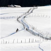 雪域归途——郑焕安&nbsp;摄