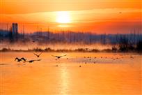 自由家园——郑焕安&nbsp;摄