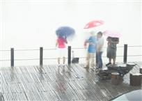 雨之韵